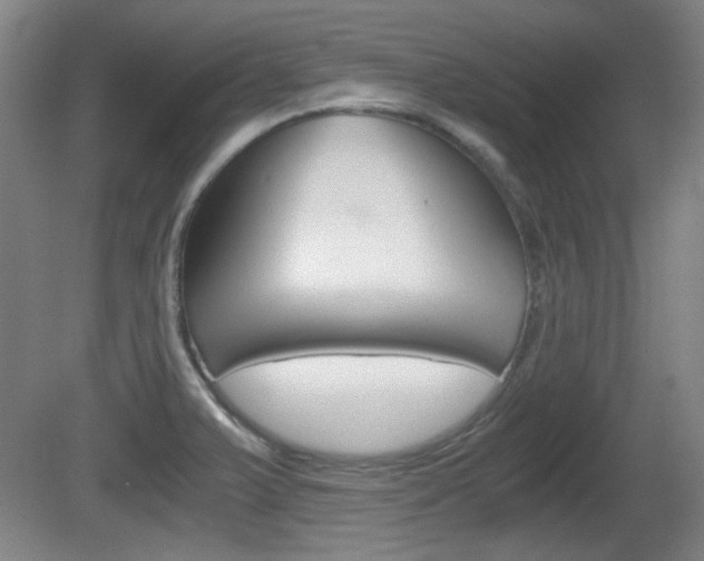 X0000080701375200612150825