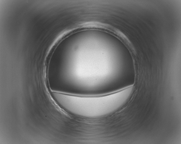 X0000080701376200612150825
