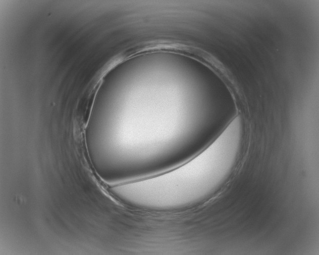 X0000080701377200612150825