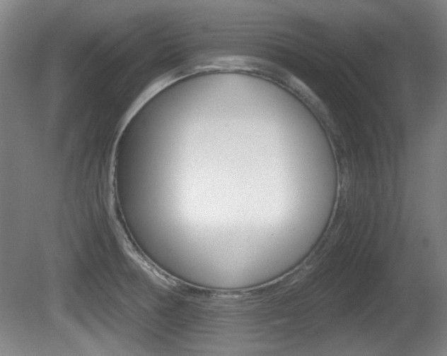X0000080701378200612150825