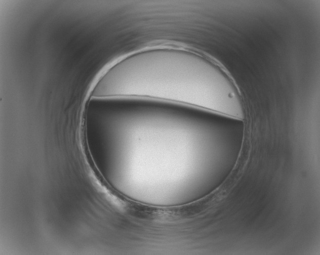 X0000080701379200612150825