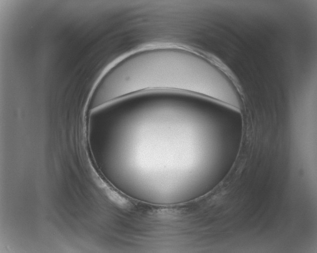 X0000080701380200612150825