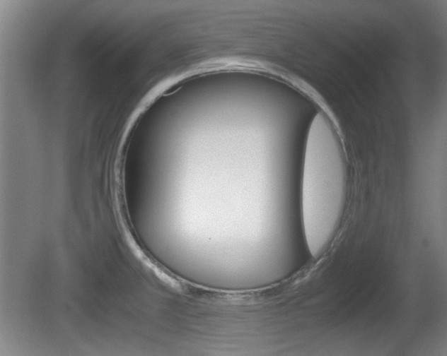 X0000080701381200612150825