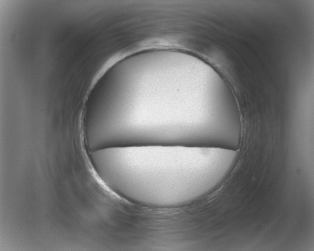 X0000080701382200612150825