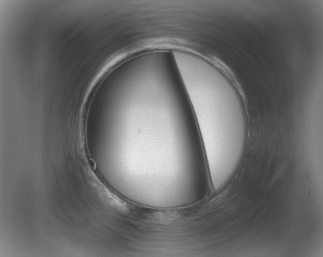 X0000080701384200612150825