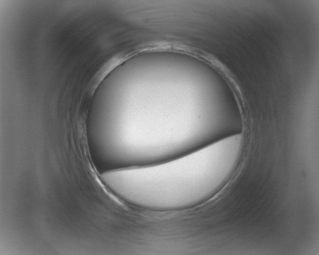X0000080701385200612150825
