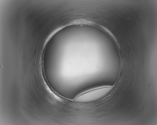 X0000080701387200612150825