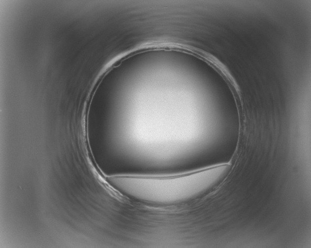 X0000080701388200612150825