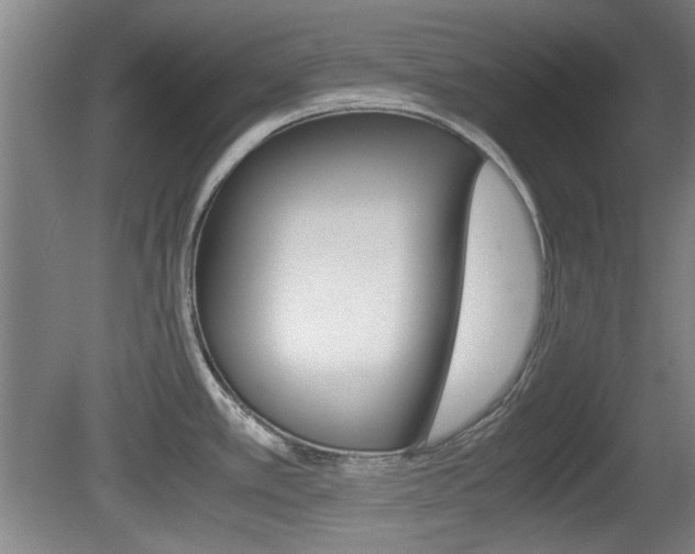 X0000080701389200612150825