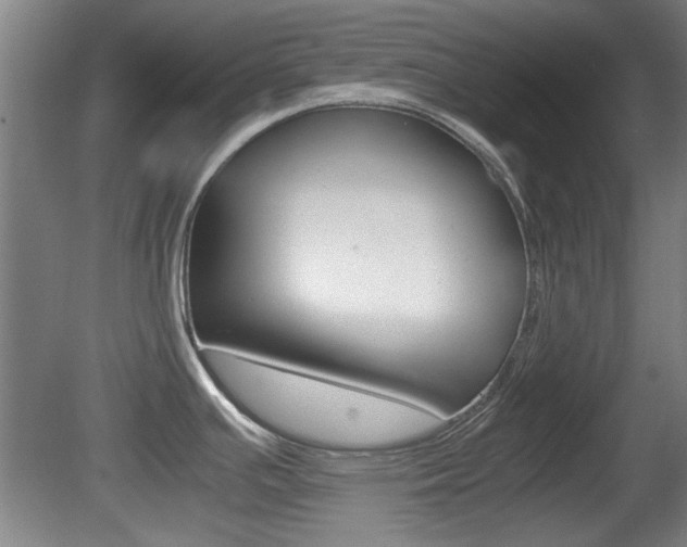 X0000080701391200612150825