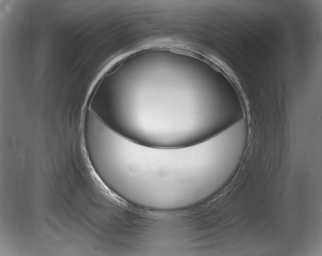 X0000080701392200612150825