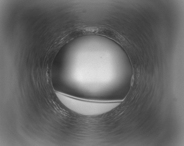 X0000080701394200612150824