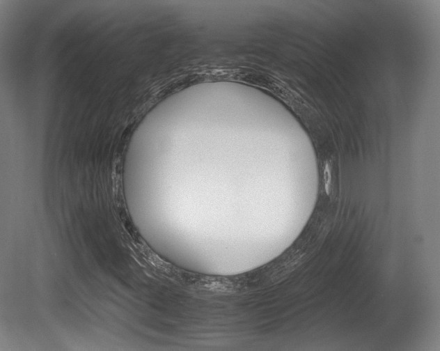 X0000080701395200612150824