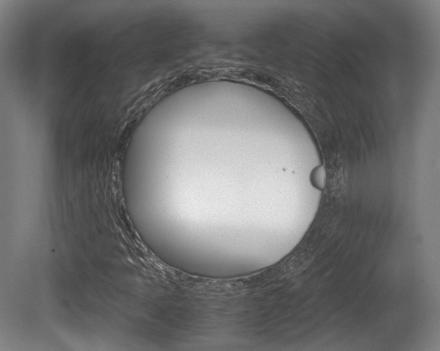 X0000080701397200612150824