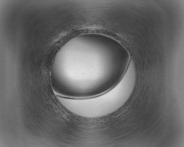 X0000080701398200612150824