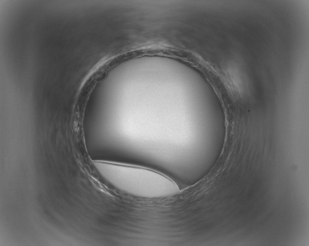 X0000080701400200612150824