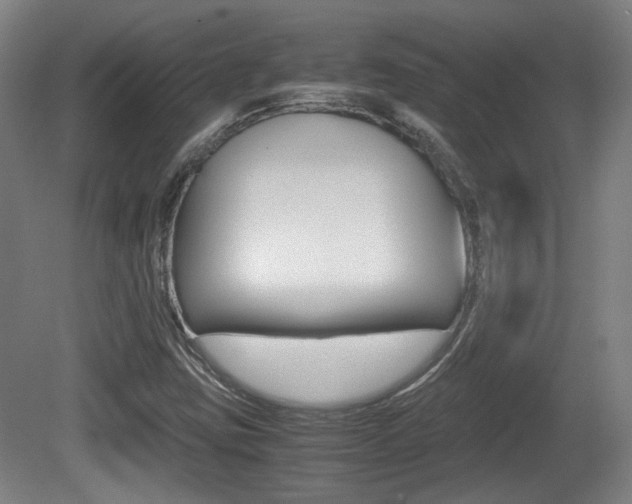 X0000080701403200612150824