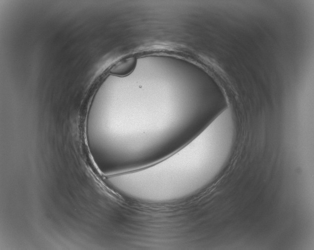 X0000080701404200612150824