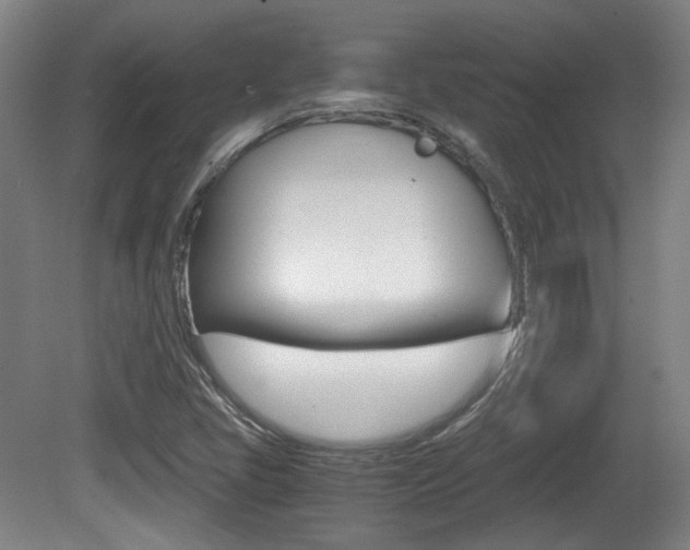 X0000080701405200612150824