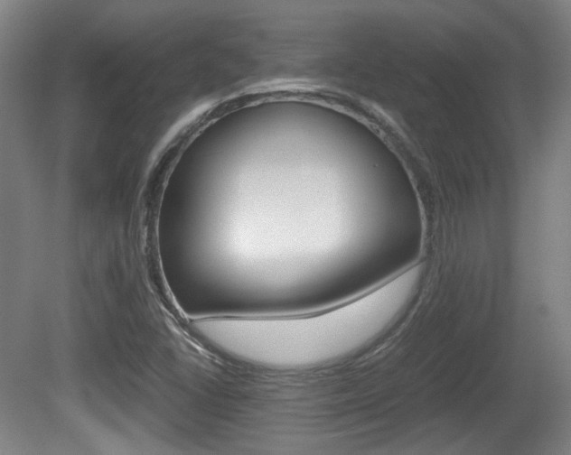 X0000080701406200612150824