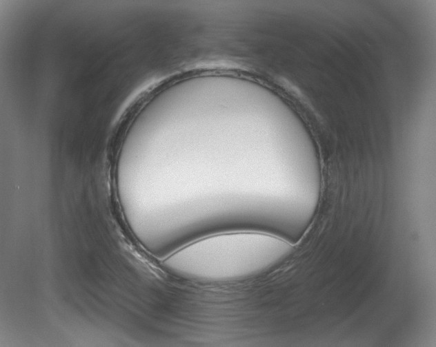 X0000080701408200612150824