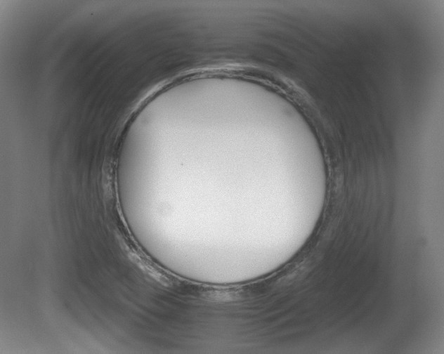 X0000080701409200612150824