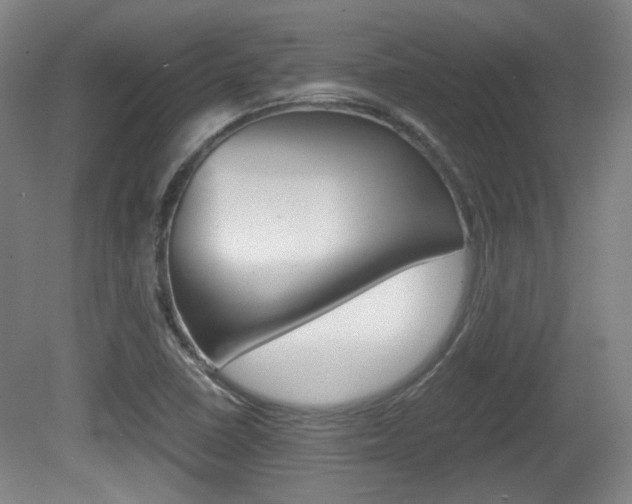 X0000080701410200612150824