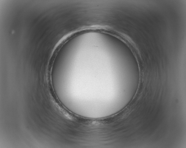 X0000080701412200612150825