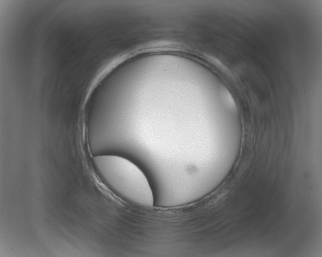 X0000080701413200612150825