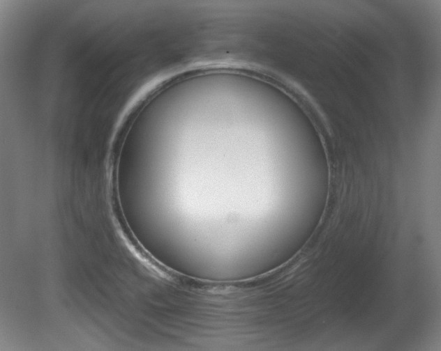 X0000080701416200612150825