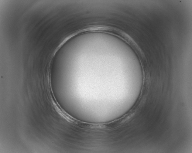 X0000080701417200612150825