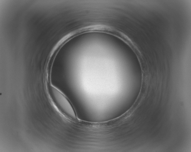 X0000080701418200612150825