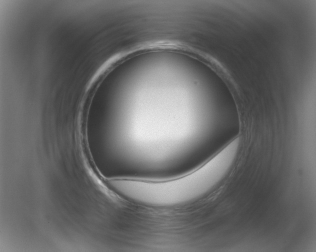 X0000080701422200612150825