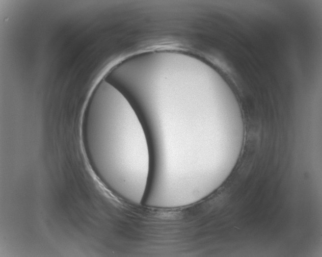 X0000080701423200612150825