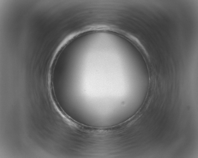 X0000080701424200612150825