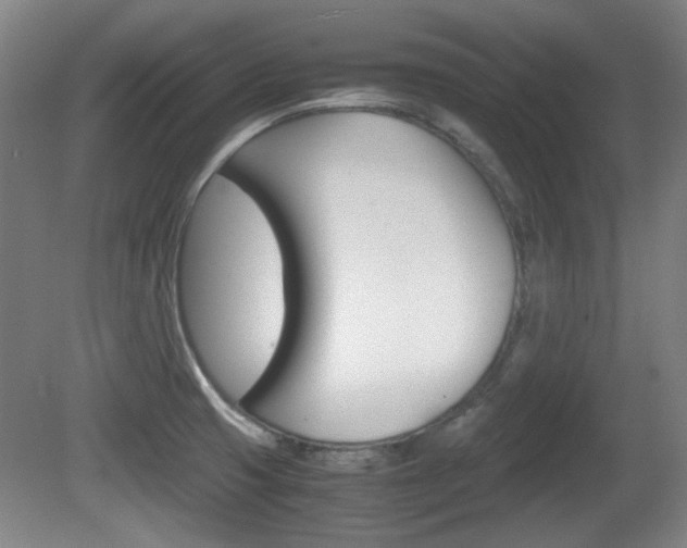 X0000080701425200612150825