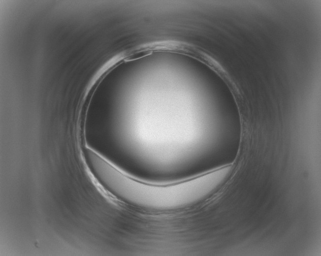 X0000080701426200612150825