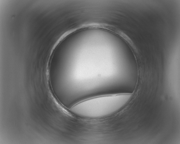 X0000080701428200612150825