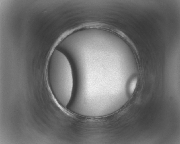 X0000080701429200612150825