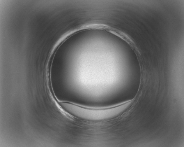 X0000080701430200612150825