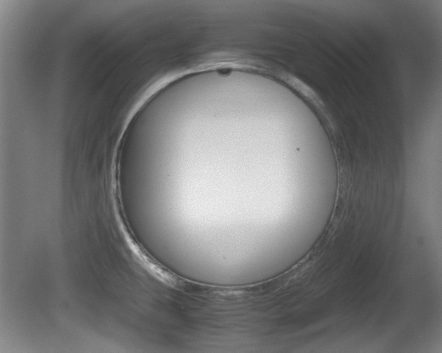 X0000080701431200612150825
