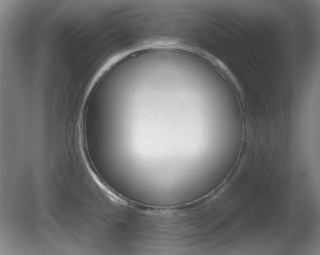 X0000080701432200612150825