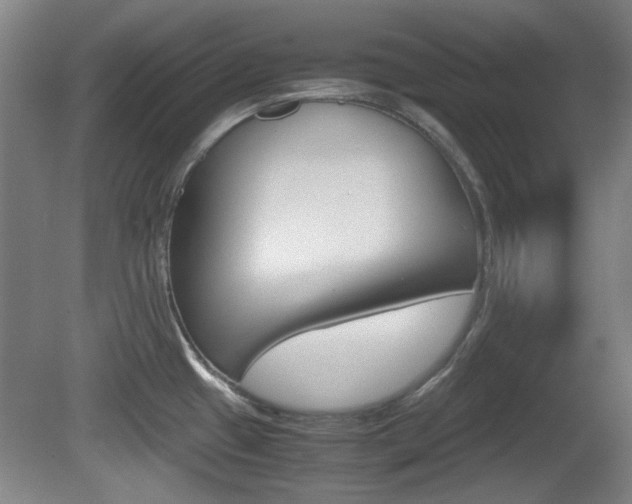 X0000080701433200612150825