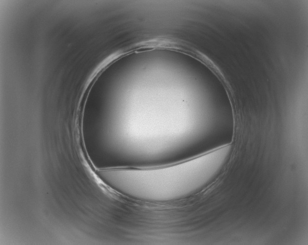 X0000080701434200612150825