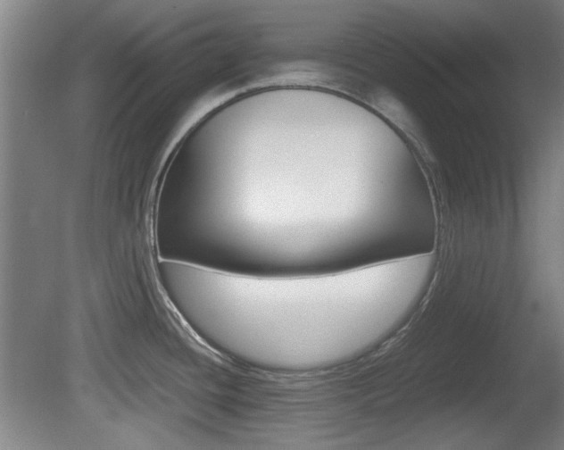 X0000080701436200612150825
