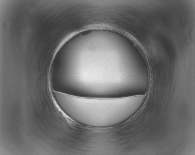 X0000080701440200612150825