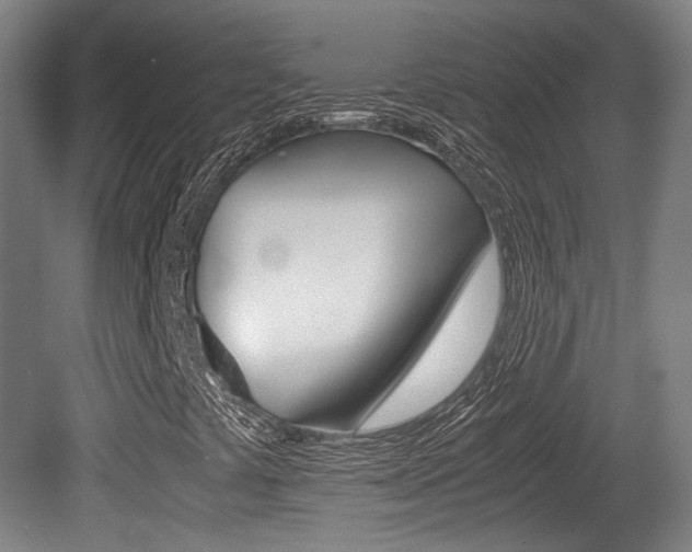 X0000080701441200612150824