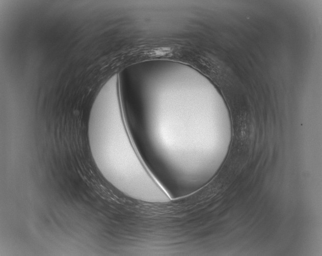 X0000080701442200612150824