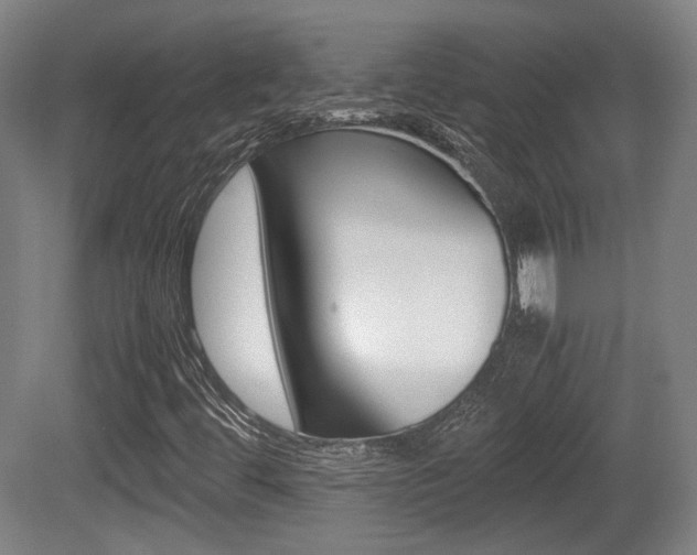 X0000080701444200612150824