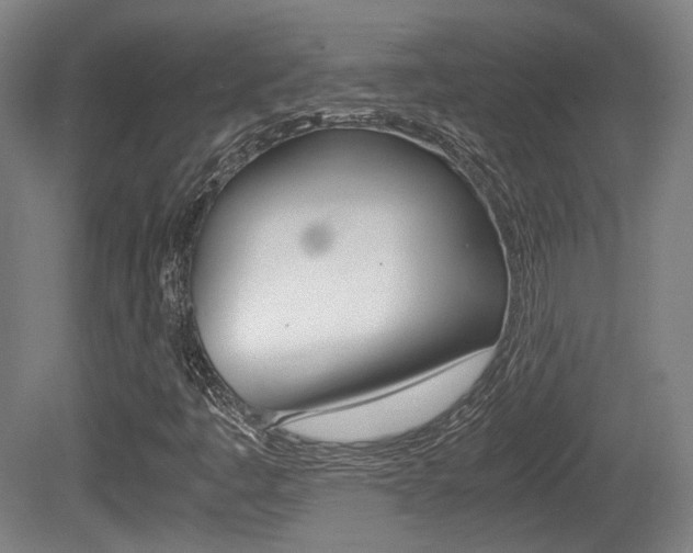 X0000080701445200612150824